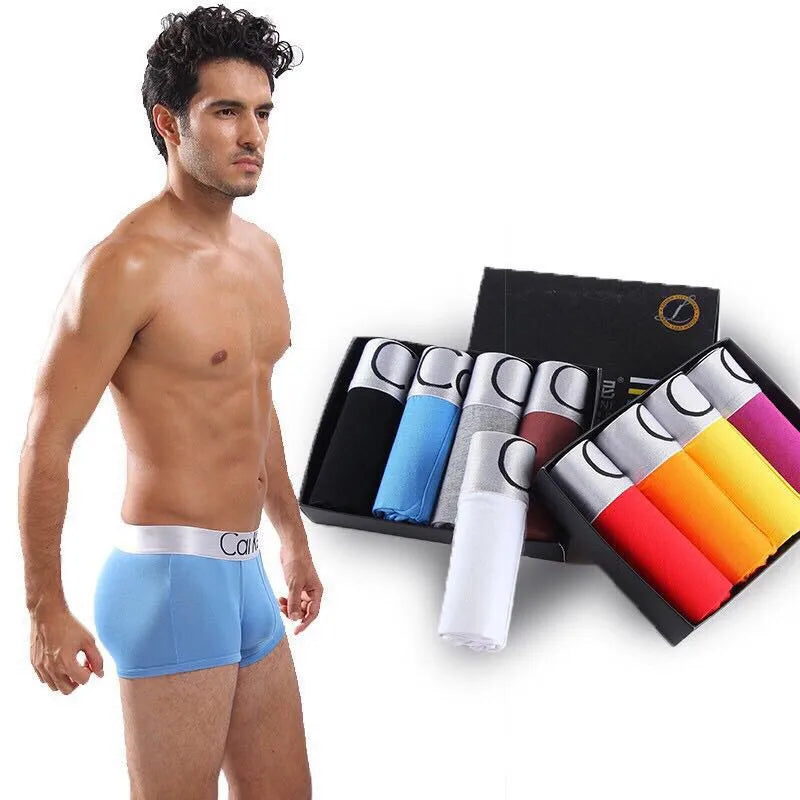 Brand Mens Underwear Boxers Homme Men's Sexy Underpants For Men Panties Soft Shorts Modal Men cuecas boxer Calzoncillos XXXL New