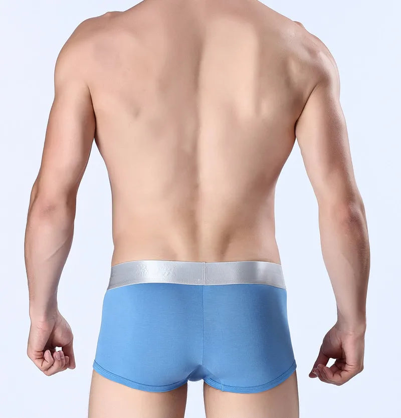Brand Mens Underwear Boxers Homme Men's Sexy Underpants For Men Panties Soft Shorts Modal Men cuecas boxer Calzoncillos XXXL New