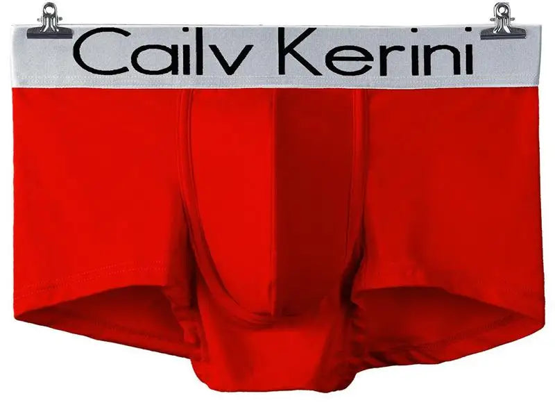 Brand Mens Underwear Boxers Homme Men's Sexy Underpants For Men Panties Soft Shorts Modal Men cuecas boxer Calzoncillos XXXL New