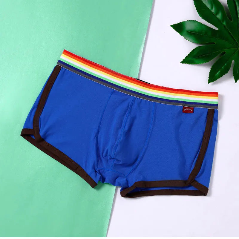 Rainbow Belt Boxershorts Men Boxers Male Underwear Panties Cotton Shorts Boxer Youth Breathable Comfortable Underpants Cueca