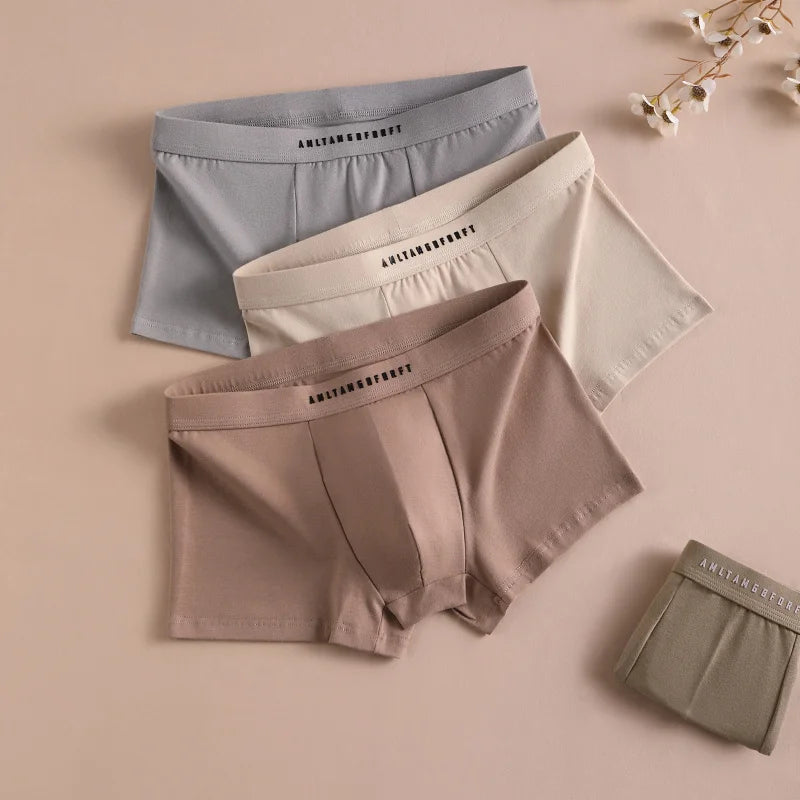 3PCS Sports Boxer Man Breathable Gift Sporty Boxers Men's Square Panties Sexy Men Unerderwear Underpants Briefs Shorts Underwear