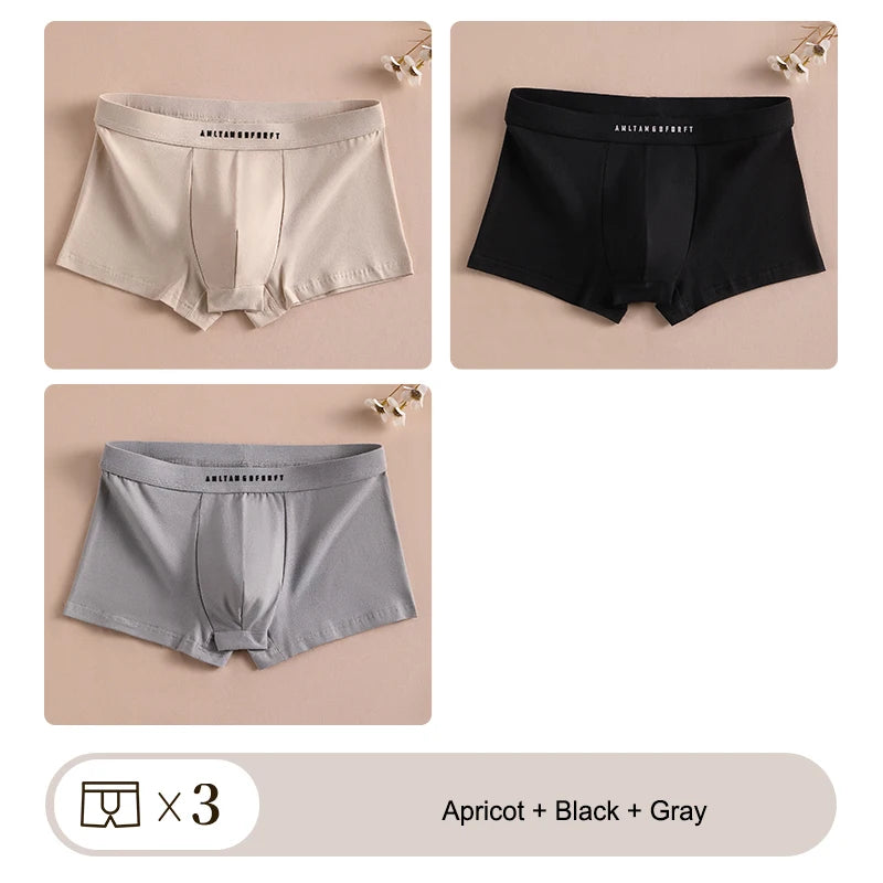 3PCS Sports Boxer Man Breathable Gift Sporty Boxers Men's Square Panties Sexy Men Unerderwear Underpants Briefs Shorts Underwear